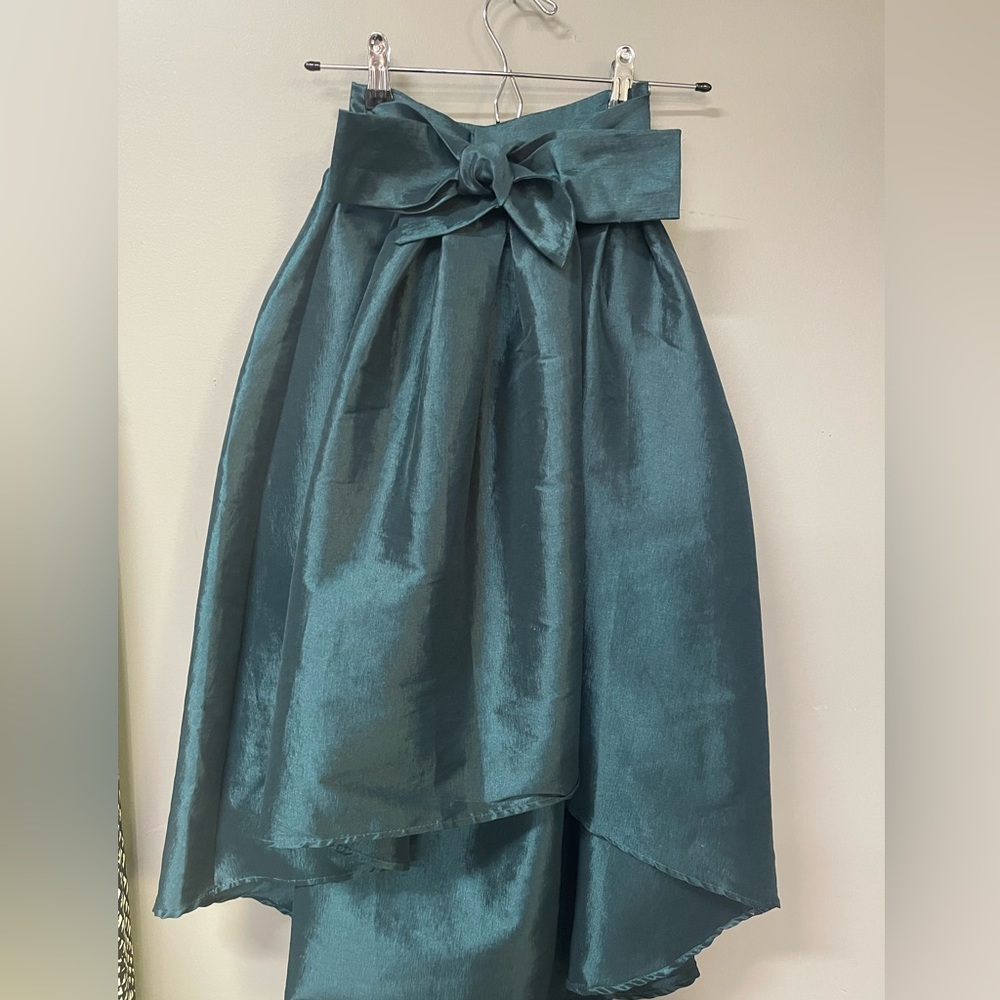 Brand new never worn taffeta skirt
